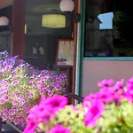 Umbria Orvieto-nuovo Gestione- Hotel Orvieto