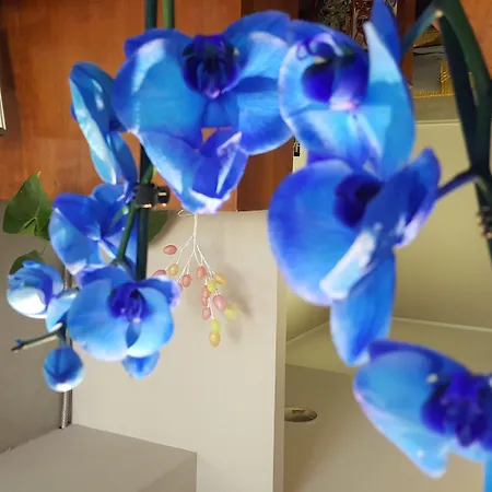 فندق Ristorante Umbria أورفييتو