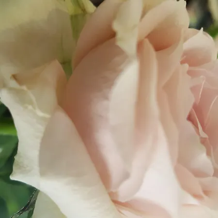 Ristorante Umbria فندق 3*