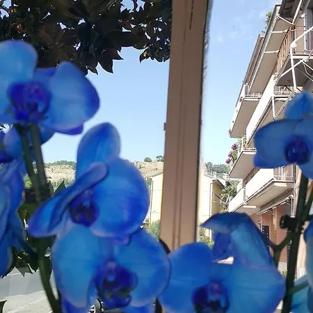 Ristorante Umbria فندق أورفييتو