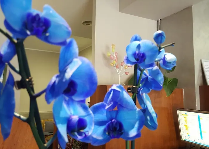 Umbria Orvieto-nuovo Gestione- Hotel Orvieto